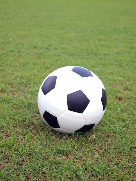 九游体育 App 界面